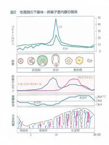 不妊,鍼灸,稲毛,千葉,体質,改善,整体,不妊治療,子宮,,妊娠,したい,基礎体温,ストレス,