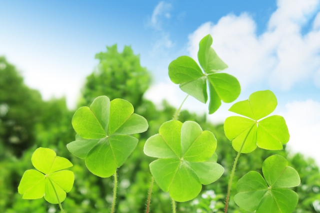 ストレス,妊娠,施術,妊娠,自然,治癒力