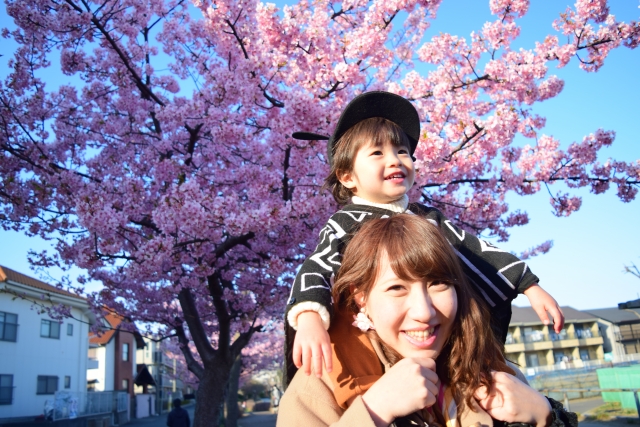 桜,子供,母
