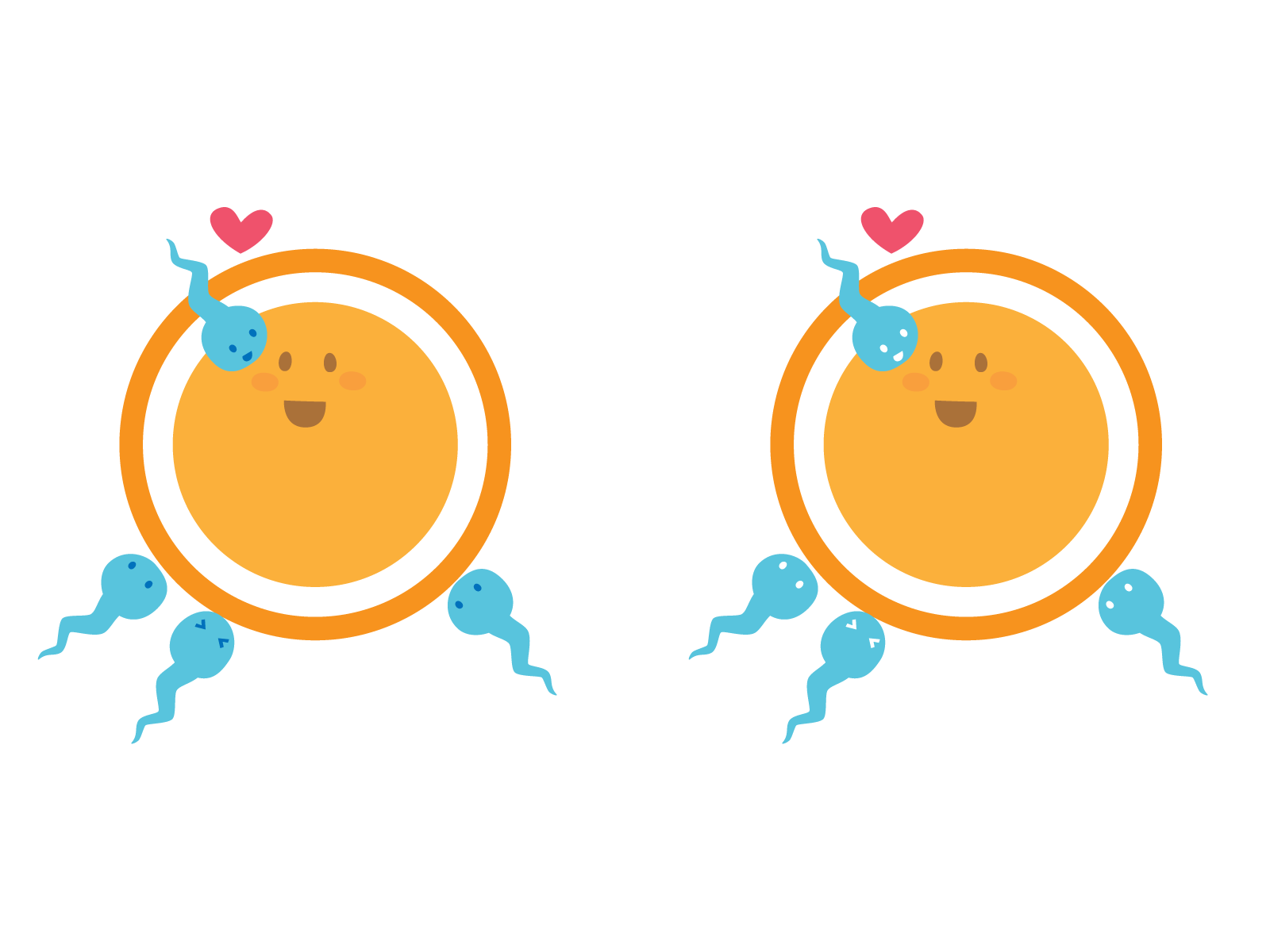 千葉の高齢不妊専門鍼灸整体